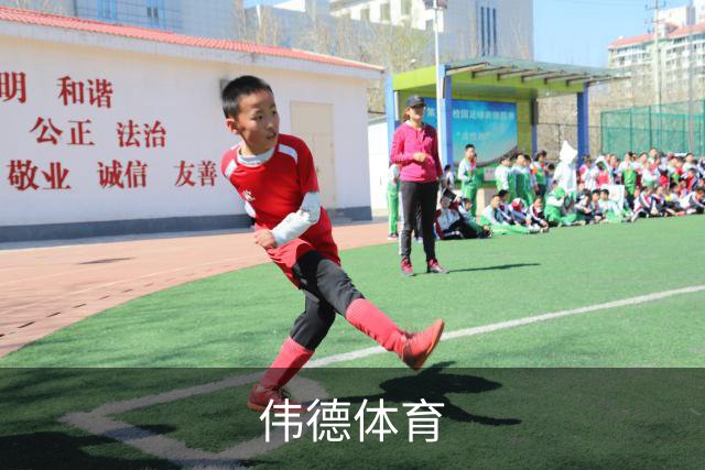 伟德体育公司简介图片
